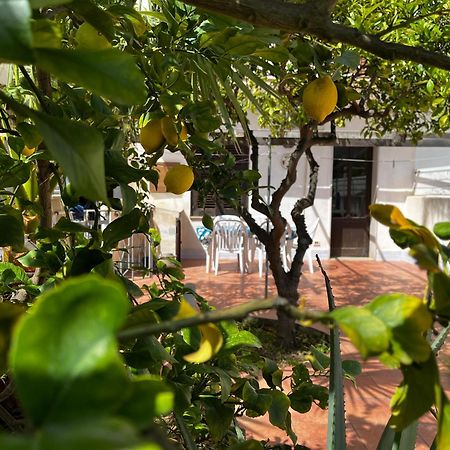 Ferienwohnung Casa Ciccio San Vito Lo Capo Exterior foto