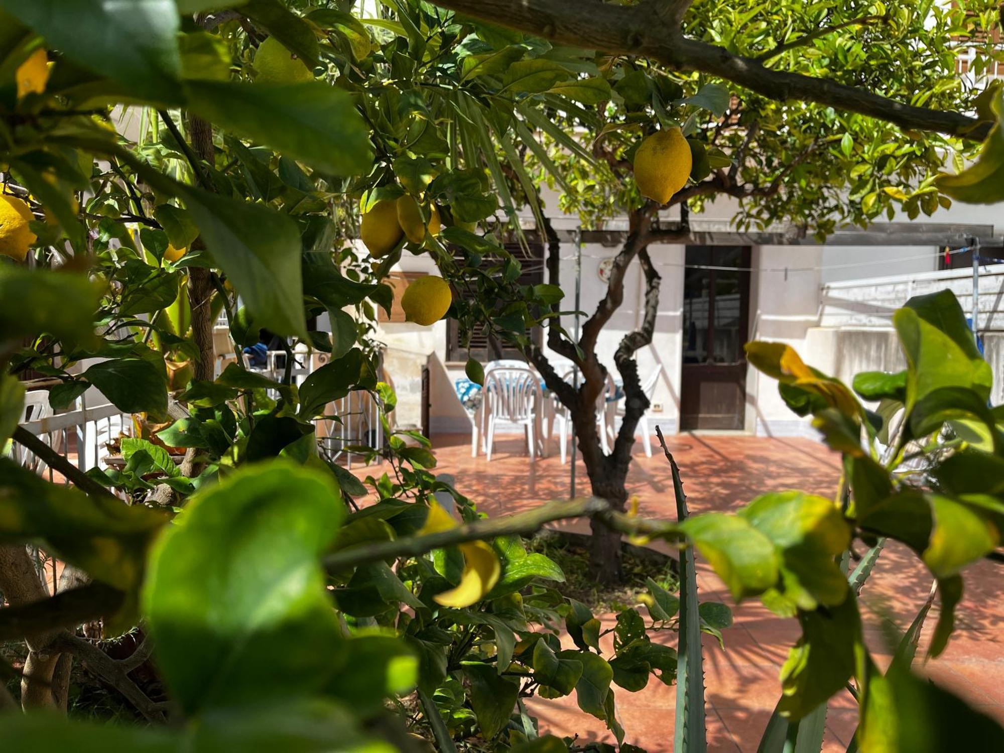 Ferienwohnung Casa Ciccio San Vito Lo Capo Exterior foto
